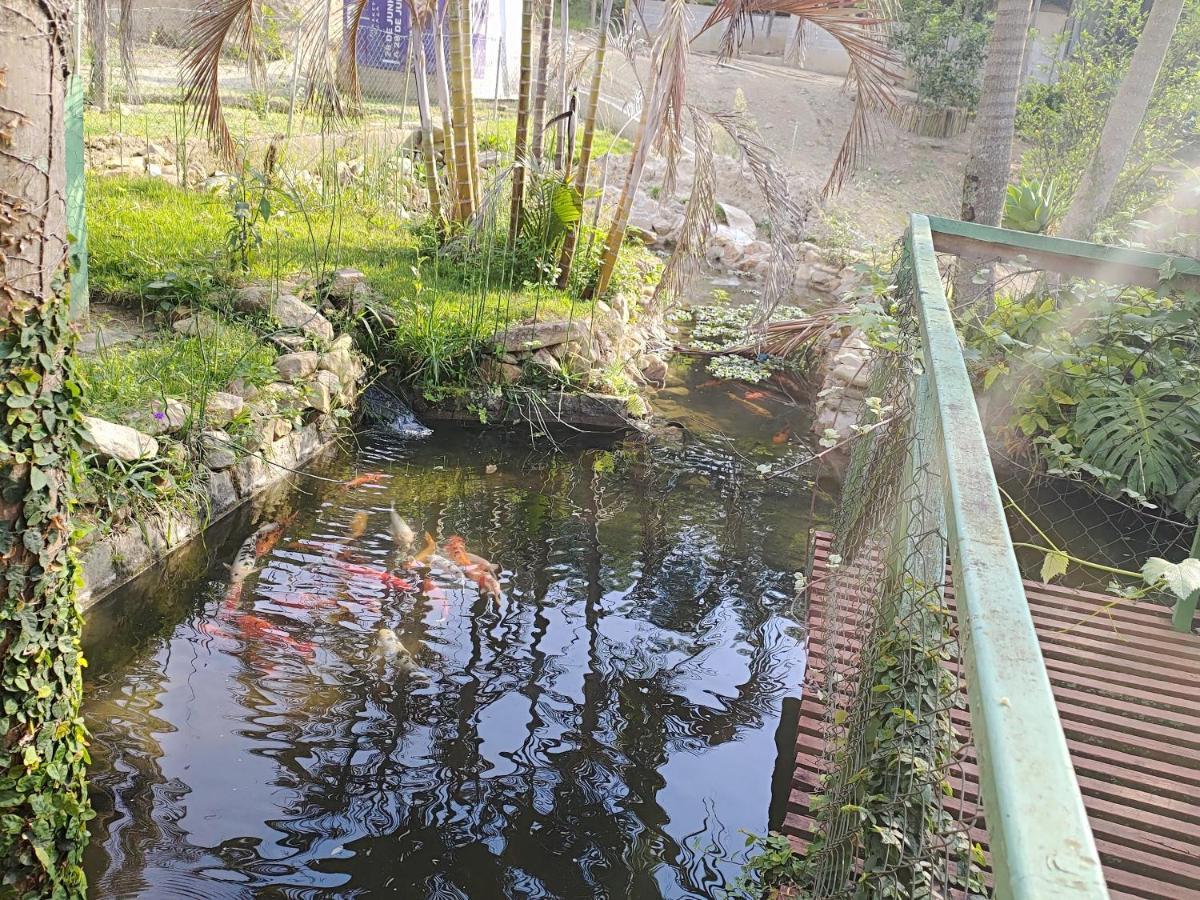 Solar Dos Canarios São Bento do Sapucaí Dış mekan fotoğraf