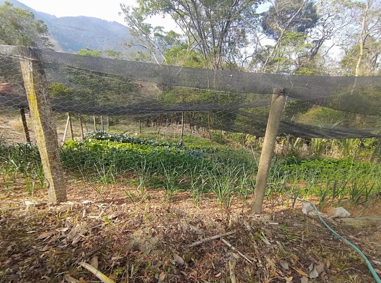 Solar Dos Canarios São Bento do Sapucaí Dış mekan fotoğraf